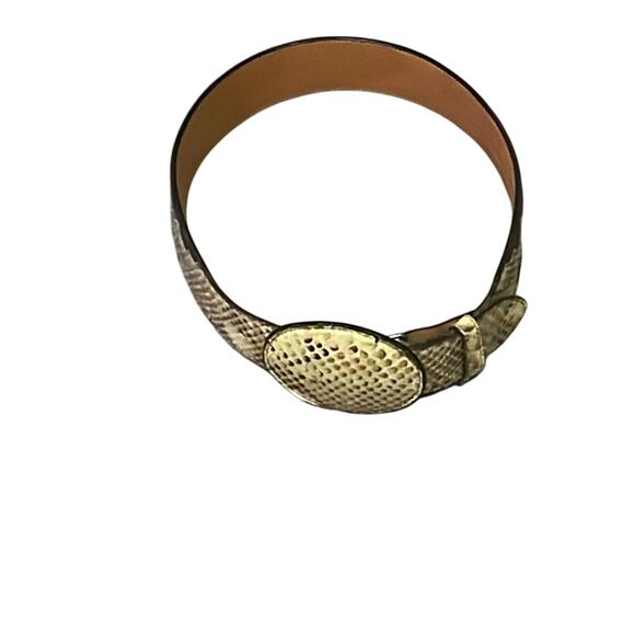 Boa and Water Buffalo Leather Belt. 28 - Picture 1 of 6